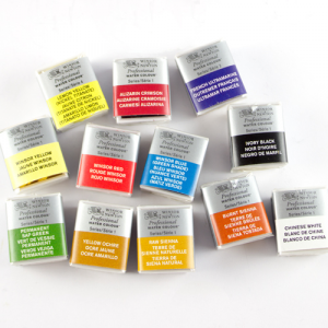Winsor & Newton Professional Artists' Watercolour Series 2 Half Pan