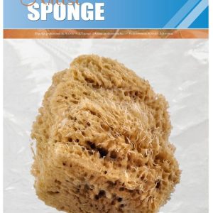 Jumbo Sea Wool Sponge